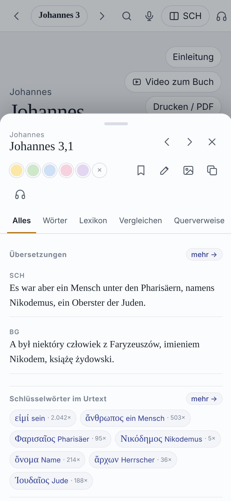 Studienpanel zu Johannes 3,1: Schlüsselwörter des Originals und Kommentar