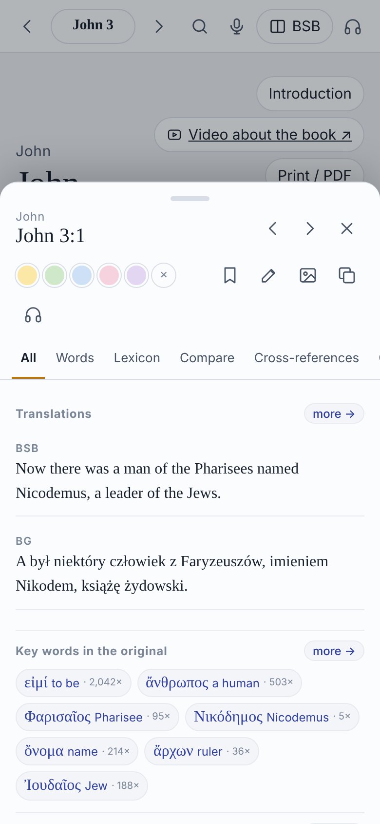 Study panel for John 3:1: key words of the original and commentary