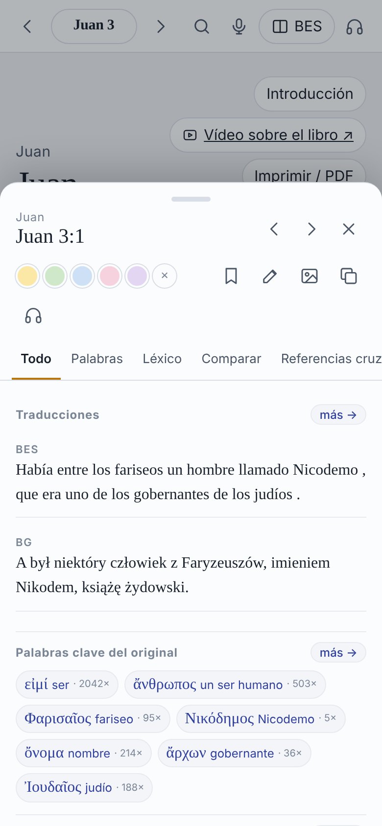 Panel de estudio de Juan 3:1: palabras clave del original y comentario
